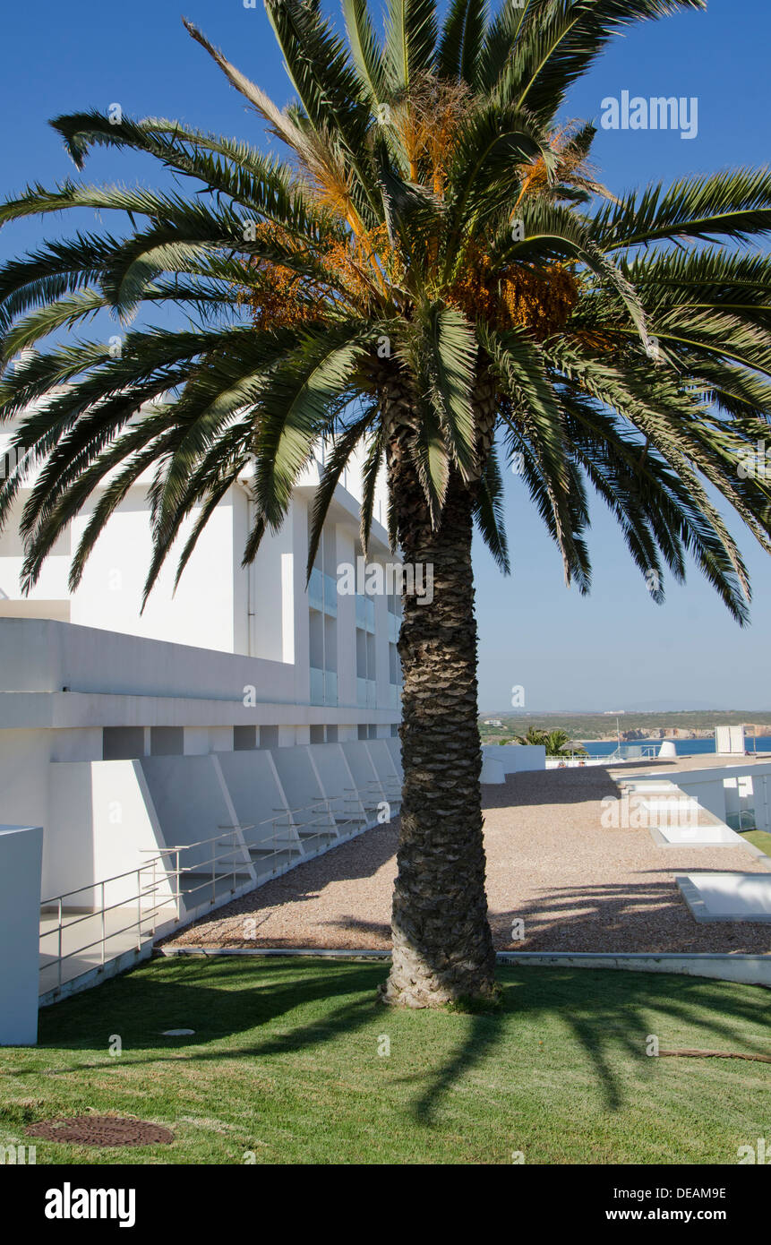 Hotel di lusso Memmo Baleeira con palma a Sagres, Algarve Portogallo Foto Stock