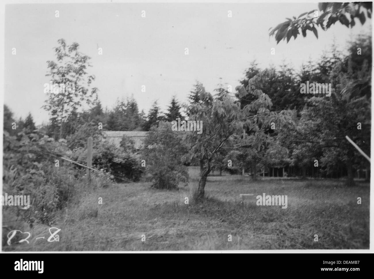Orchard guardando a sud. Pacco 127, C.W. Legno. Todd la costruzione navale, Seattle, WA. 298530 Foto Stock