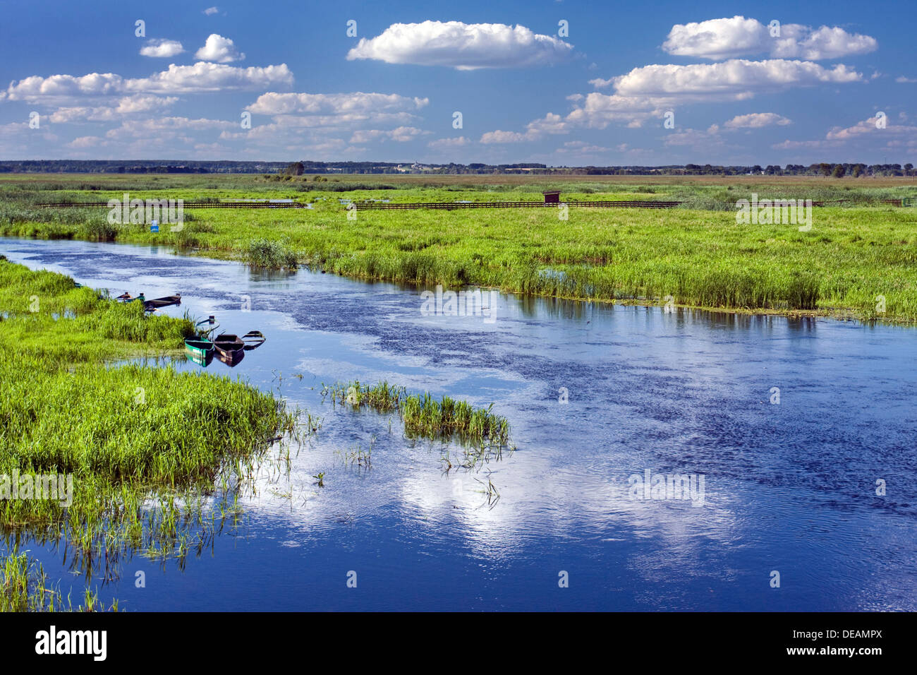 Fiume Narew vicino villaggio Waniewo, Narwianski National Park, Polonia, Europa Foto Stock