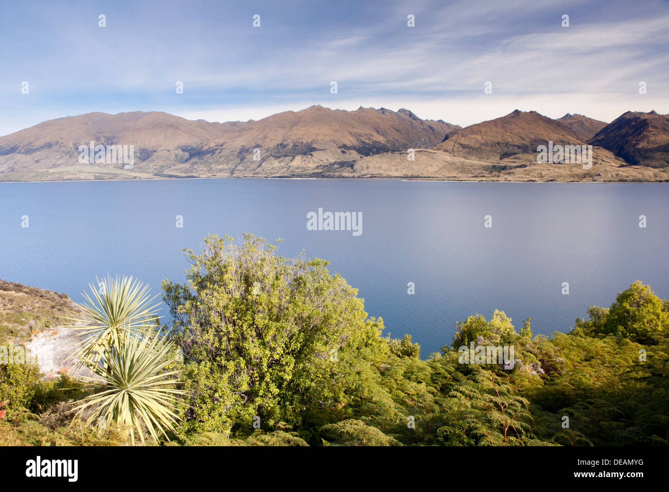 Il lago Wanaka, Isola del Sud, Nuova Zelanda Foto Stock