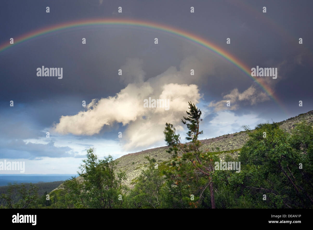 Rainbow, Fulufjaellet National Park, contea di Dalarna Svezia, Scandinavia, Europa Foto Stock