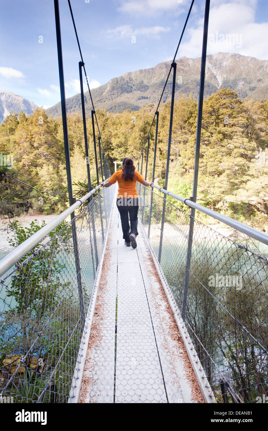 Montare gli aspiranti il Parco Nazionale di South Island, in Nuova Zelanda Foto Stock