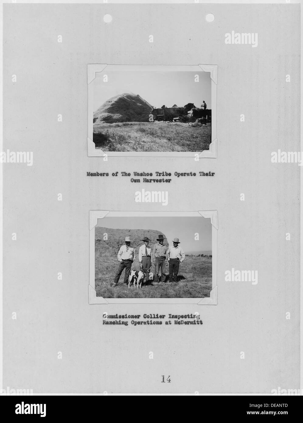 Fotografie, con didascalie di Washoe Tribe harvester in funzionamento e ispezione dei ranch a Fort McDermitt, Nevada 296180 Foto Stock