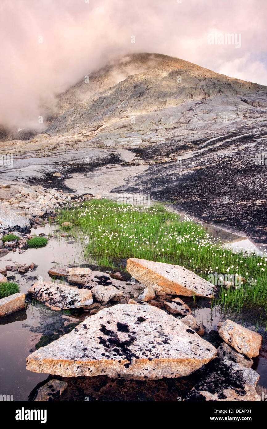 Paesaggio di Rago massiv in Rago National Park, Nordland county, Norvegia, Scandinavia, Europa Foto Stock