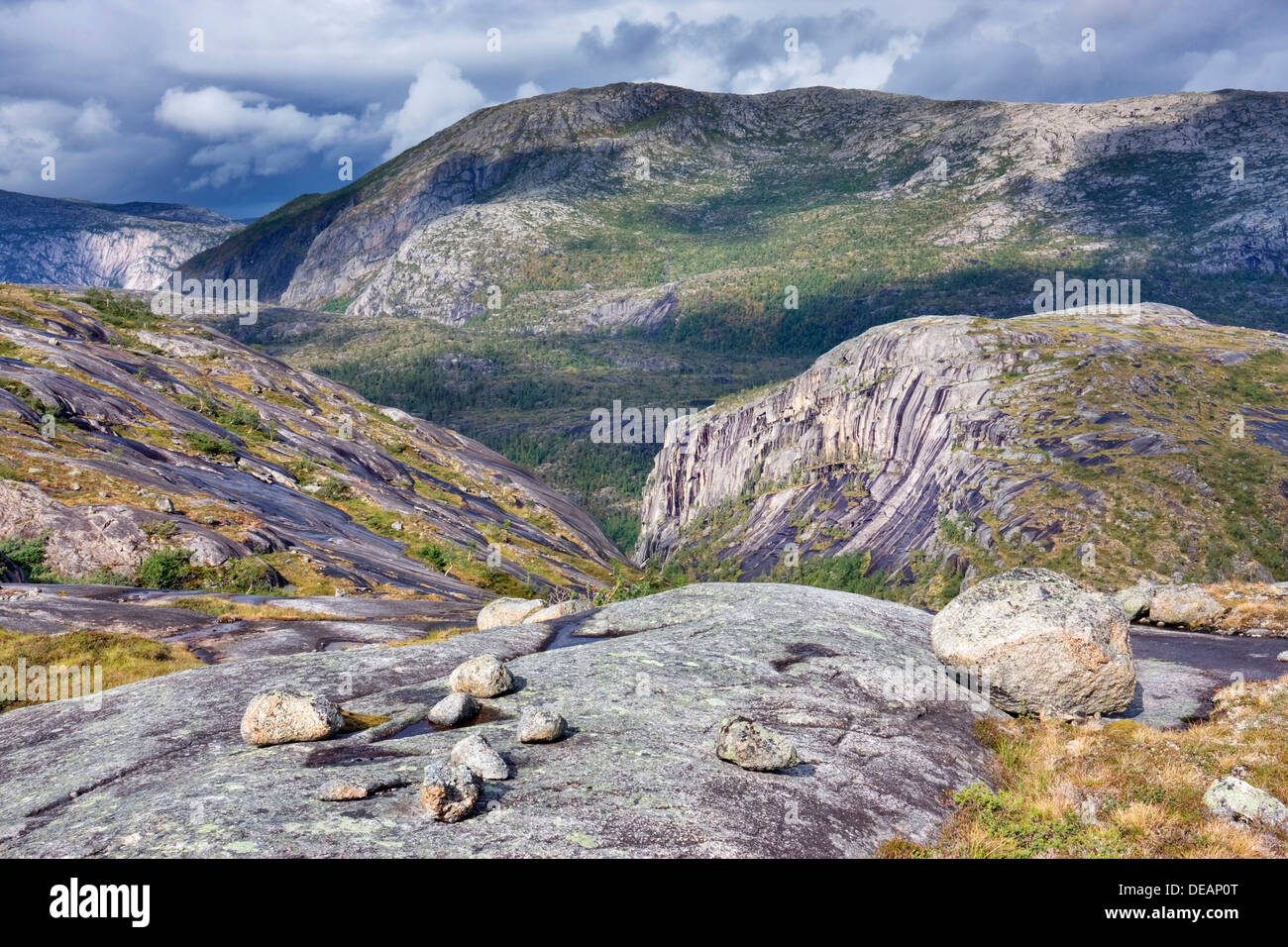 Storskogdalen valley, Rago National Park, Nordland county, Norvegia, Scandinavia, Europa Foto Stock