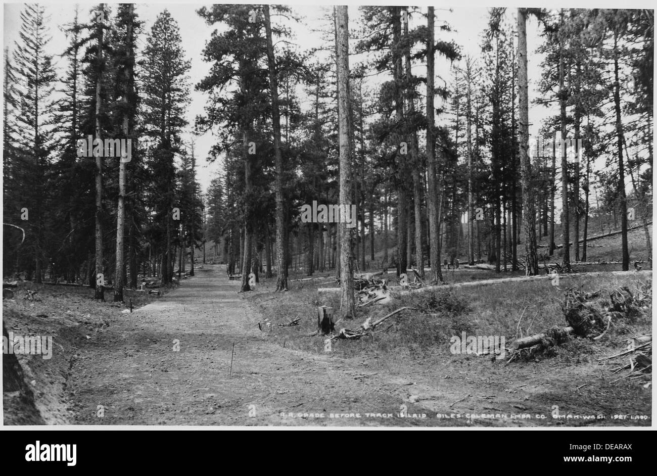 Una fotografia di Ladd cattura l'area appena classificata per una ferrovia di legname nell'unità di Moses Mountain, dove venivano posati binari doppi per il trasporto di legname. Foto Stock
