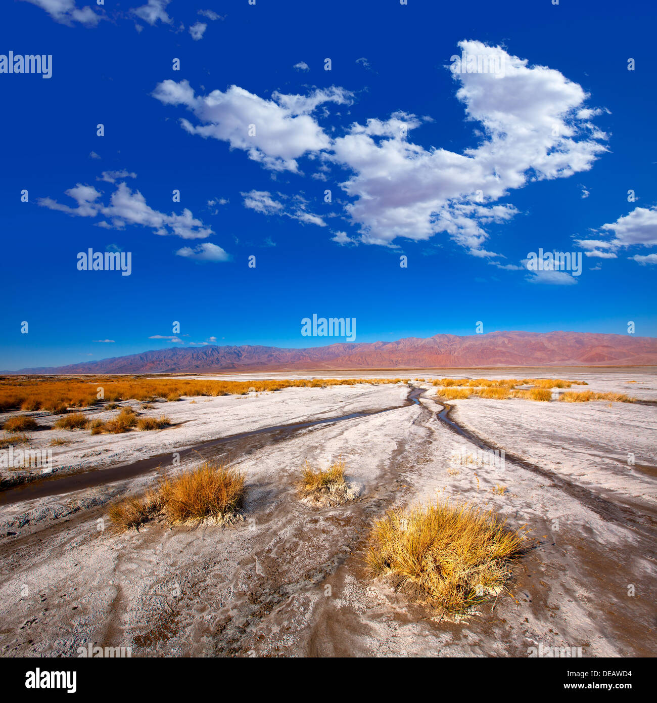 Parco Nazionale della Valle della Morte in California sale Badwater terreno deserto Foto Stock