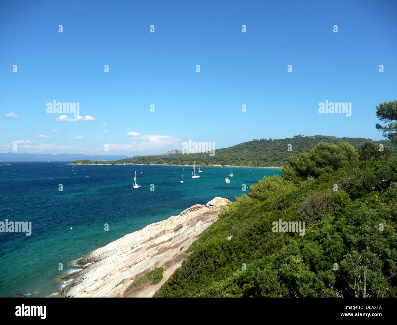 Ile de Porquerolles,la Courtade,Var,Provence-Alpes-Côte d'Azur,Francia Foto Stock