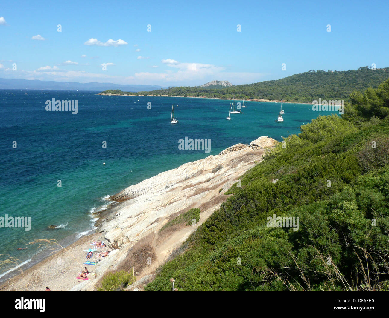 Ile de Porquerolles,la Courtade,Var,Provence-Alpes-Côte d'Azur,Francia Foto Stock