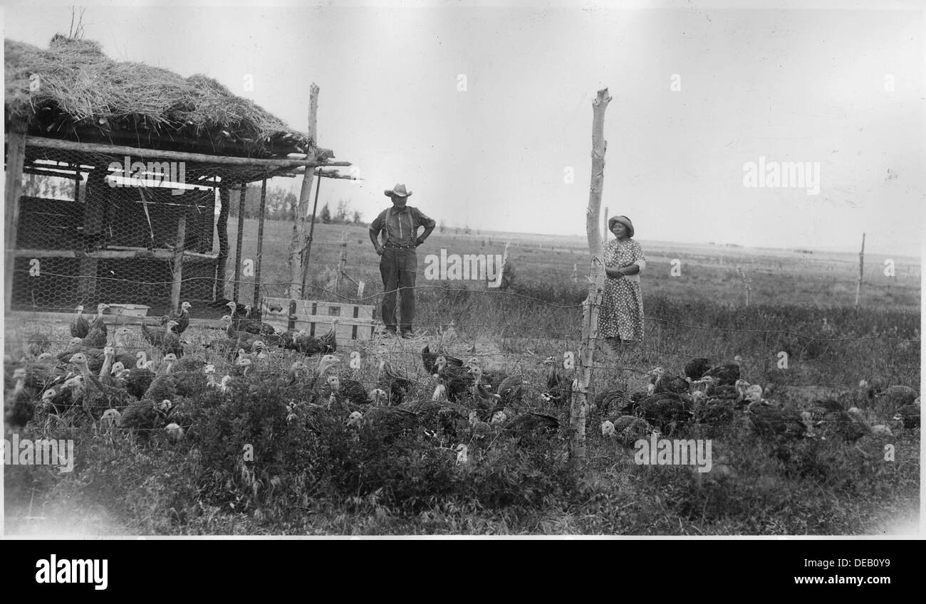 Lucy Johnson, una nativa americana a sangue pieno, intraprende con successo un progetto di allevamento e alimentazione di tacchini, supervisionato come parte di un'iniziativa più ampia per migliorare le pratiche agricole tra le comunità dei nativi americani. Foto Stock