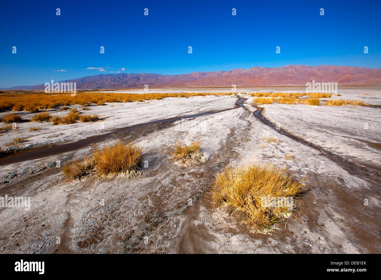Parco Nazionale della Valle della Morte in California sale Badwater terreno deserto Foto Stock
