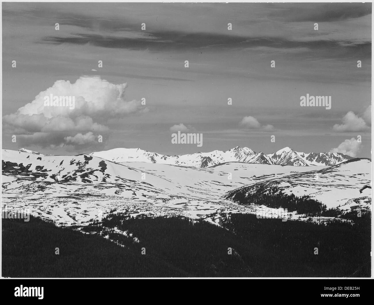 Vista a timberline, scuro in primo piano, luce Snow capped mountain, cielo grigio, Rocky Mountain National Park. Mai estate R 519960 Foto Stock