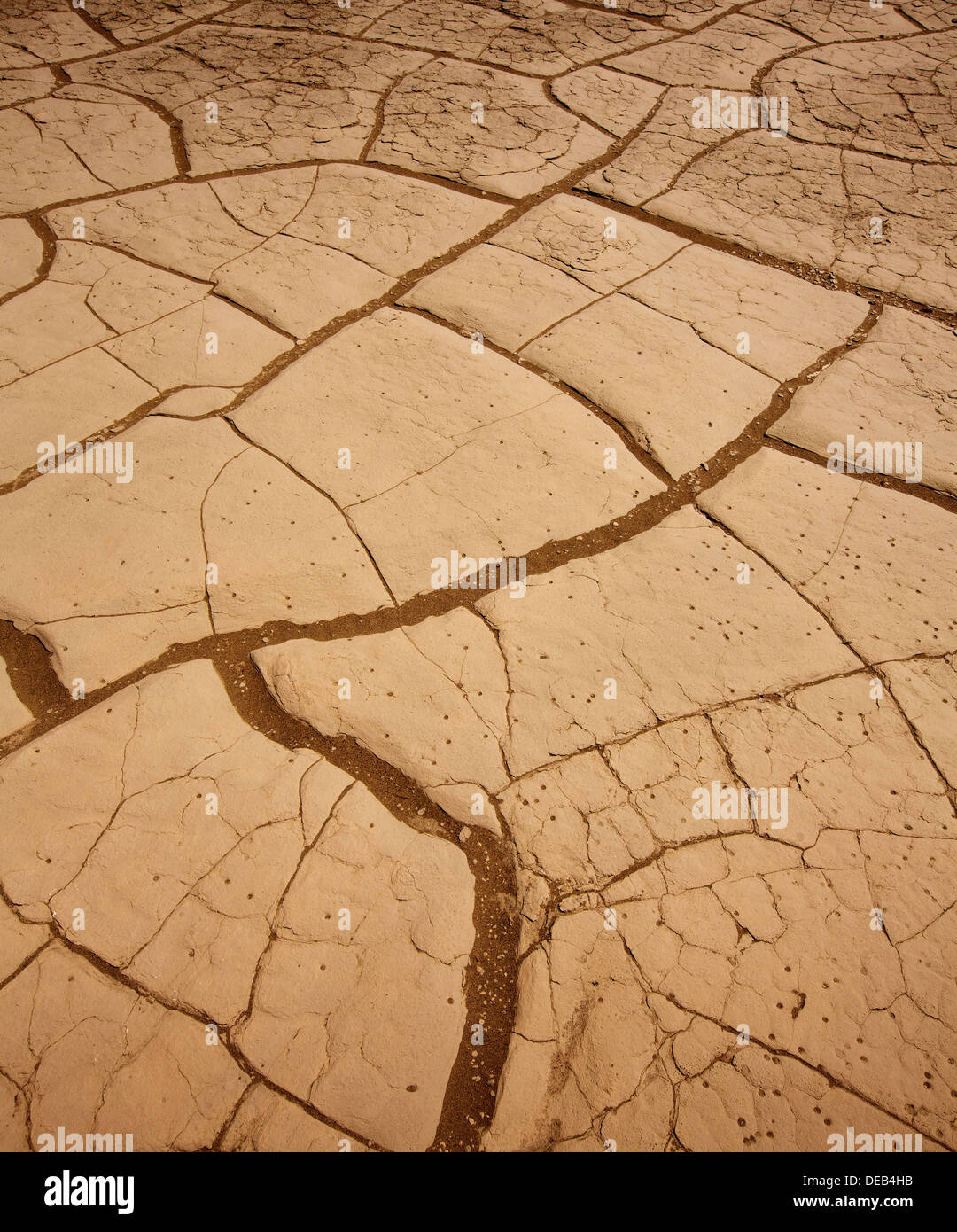 Dune di Mesquite creta asciugata macro dettaglio nella Valle della Morte Foto Stock