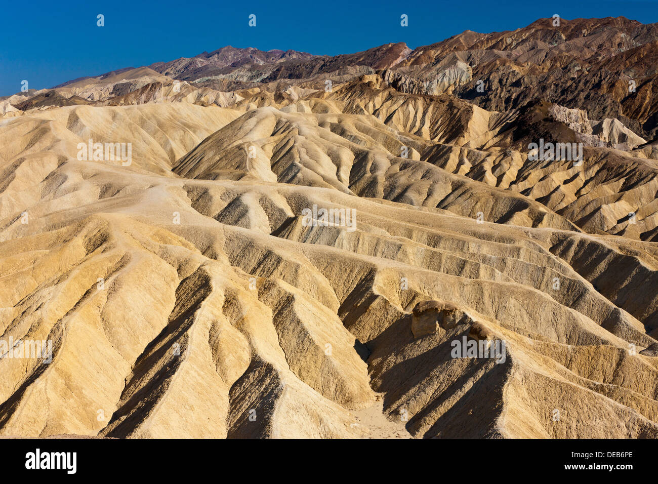 Paesaggio di Zabriskie Point, Death Valley, California, Stati Uniti d'America. JMH5374 Foto Stock