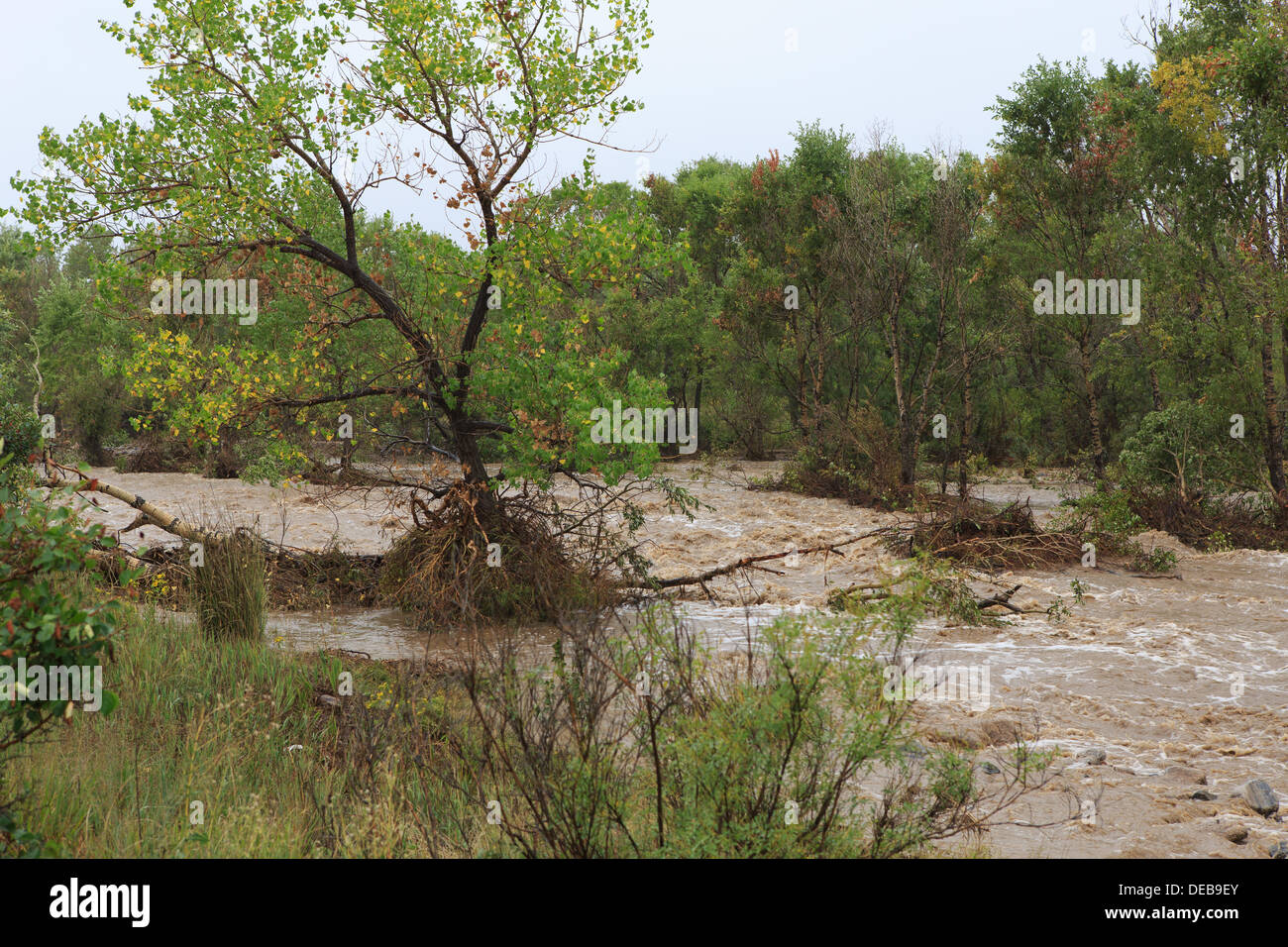 Boulder, CO. 15 Settembre 2013 - L'ultima ondata di temporali di pioggia fanno la loro strada attraverso il Boulder, Colorado portando un altro giorno di allagamenti per la pioggia area rigonfiata. © Ed Endicott / Alamy Live News Foto Stock