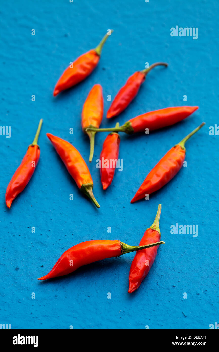 Alcuni semi essiccati peperoncini rossi su sfondo blu superficie verniciata. Foto Stock