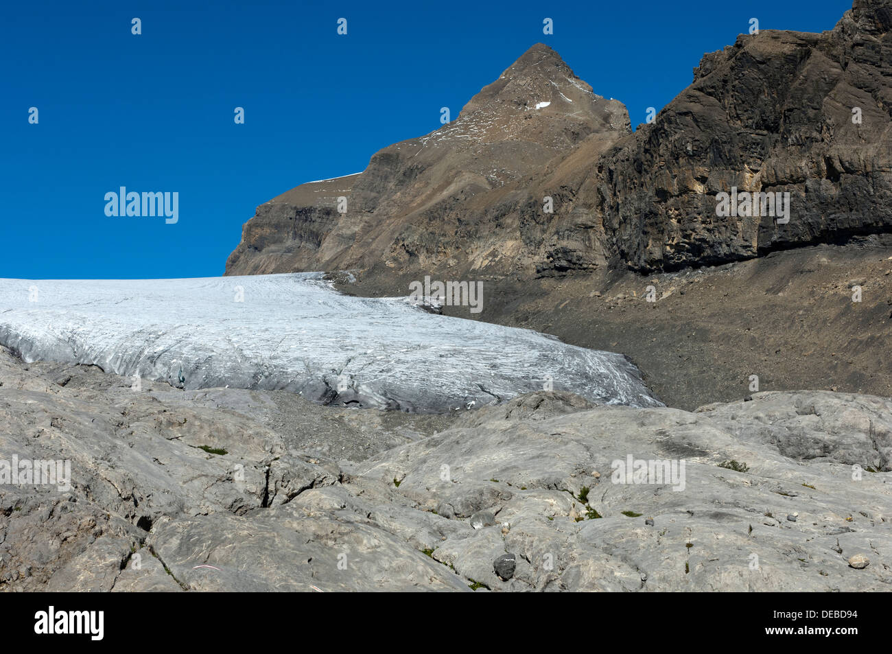 Sfuggente anteriore di ghiaccio del ghiacciaio Tsanfleuron sotto Mt Oldenhorn, Alpi Bernesi, Vallese, Svizzera Foto Stock