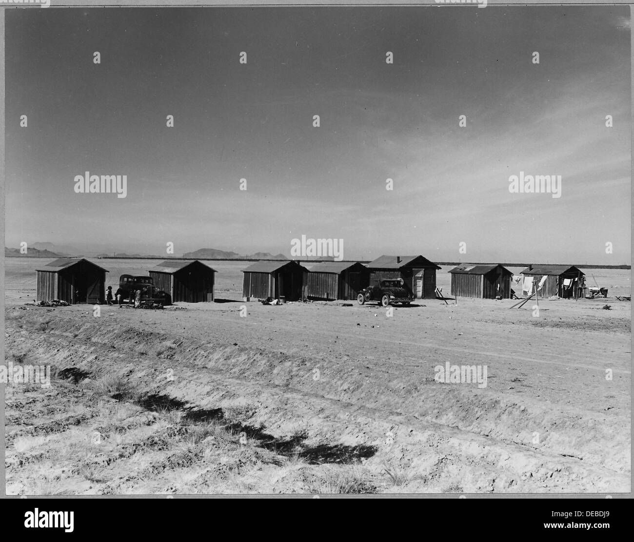 Un campo coltivatore vicino a Eloy, Pinal County, Arizona, dove sono ospitati raccoglitori di cotone. L'immagine illustra le condizioni di lavoro e la vita rurale durante la raccolta del cotone. Foto Stock