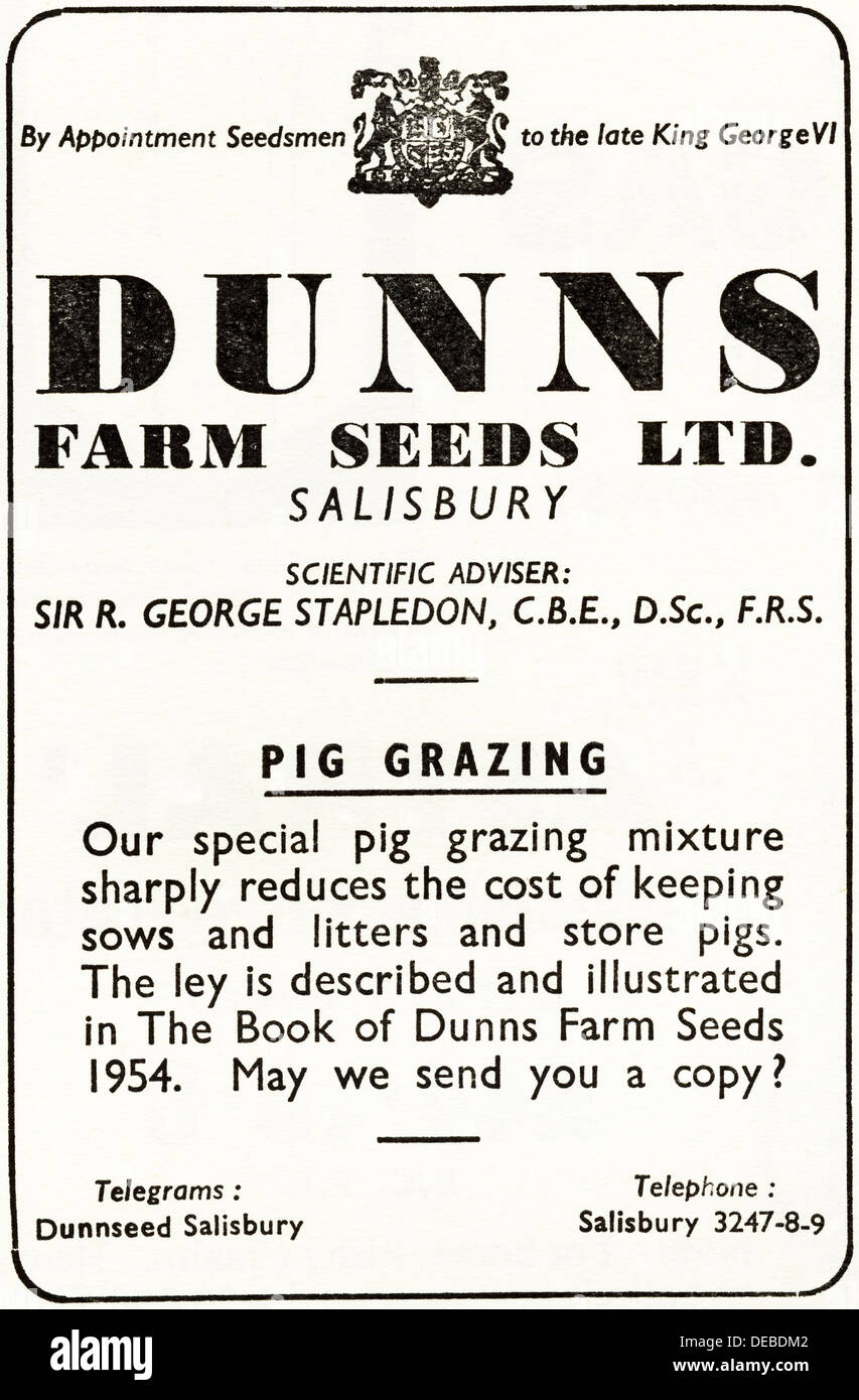 Pubblicità Pubblicità DUNNS FARM SEMI LTD di Salisbury Inghilterra la rivista britannica advert 1954 circa da royal appuntamento al King George VI Foto Stock