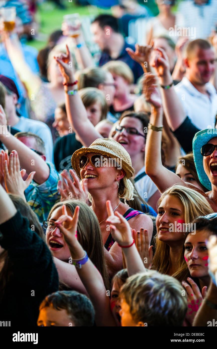 Una folla di gente che gode di musica presso il grande tributo Music Festival, Agosto Weekend festivo, Wales UK Foto Stock