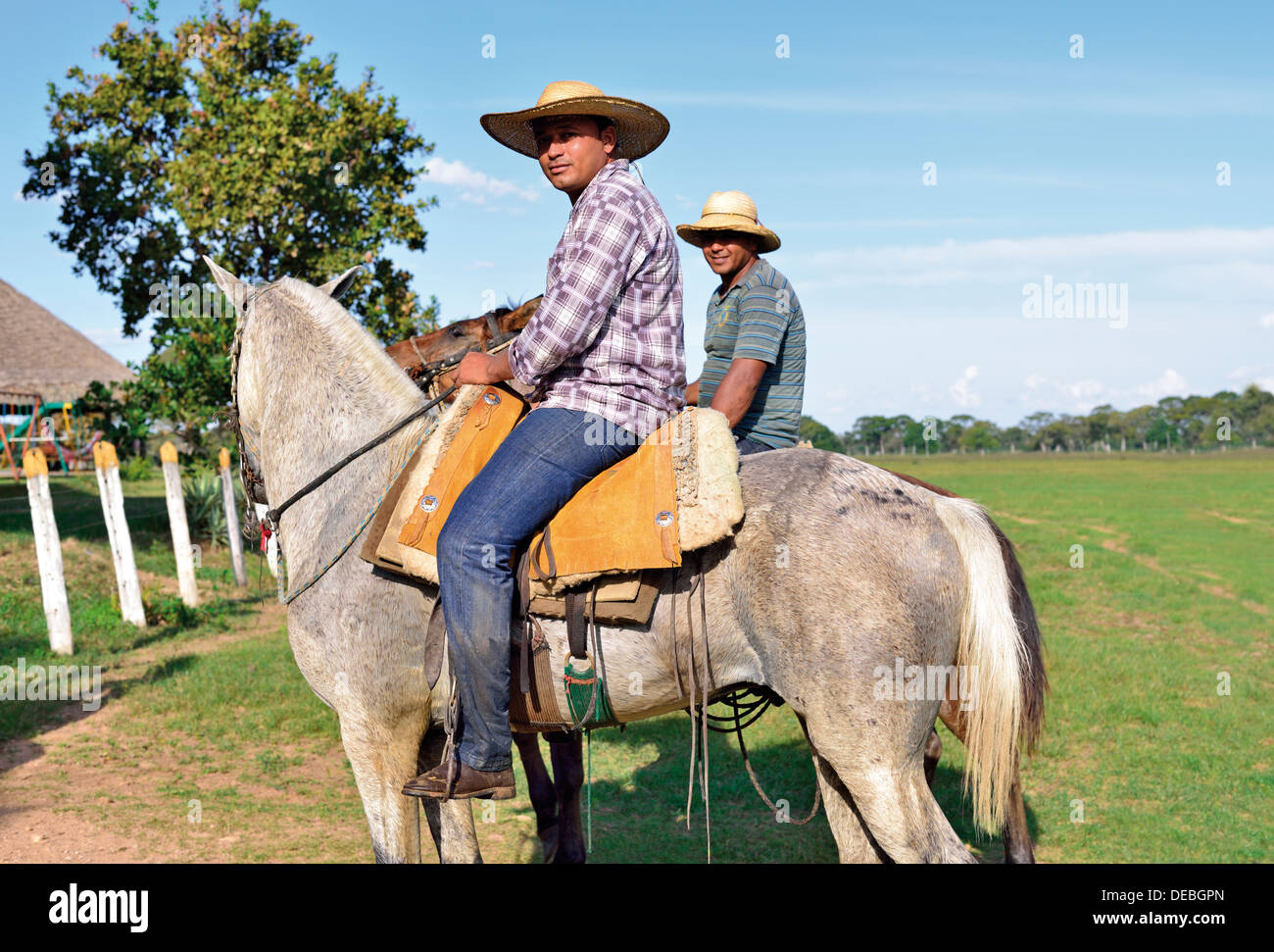 Il Brasile, Pantanal: cowboy brasiliano 'peões' con cavalli Pantaneiro lavorando per la Pousada e fattoria Piuval Foto Stock
