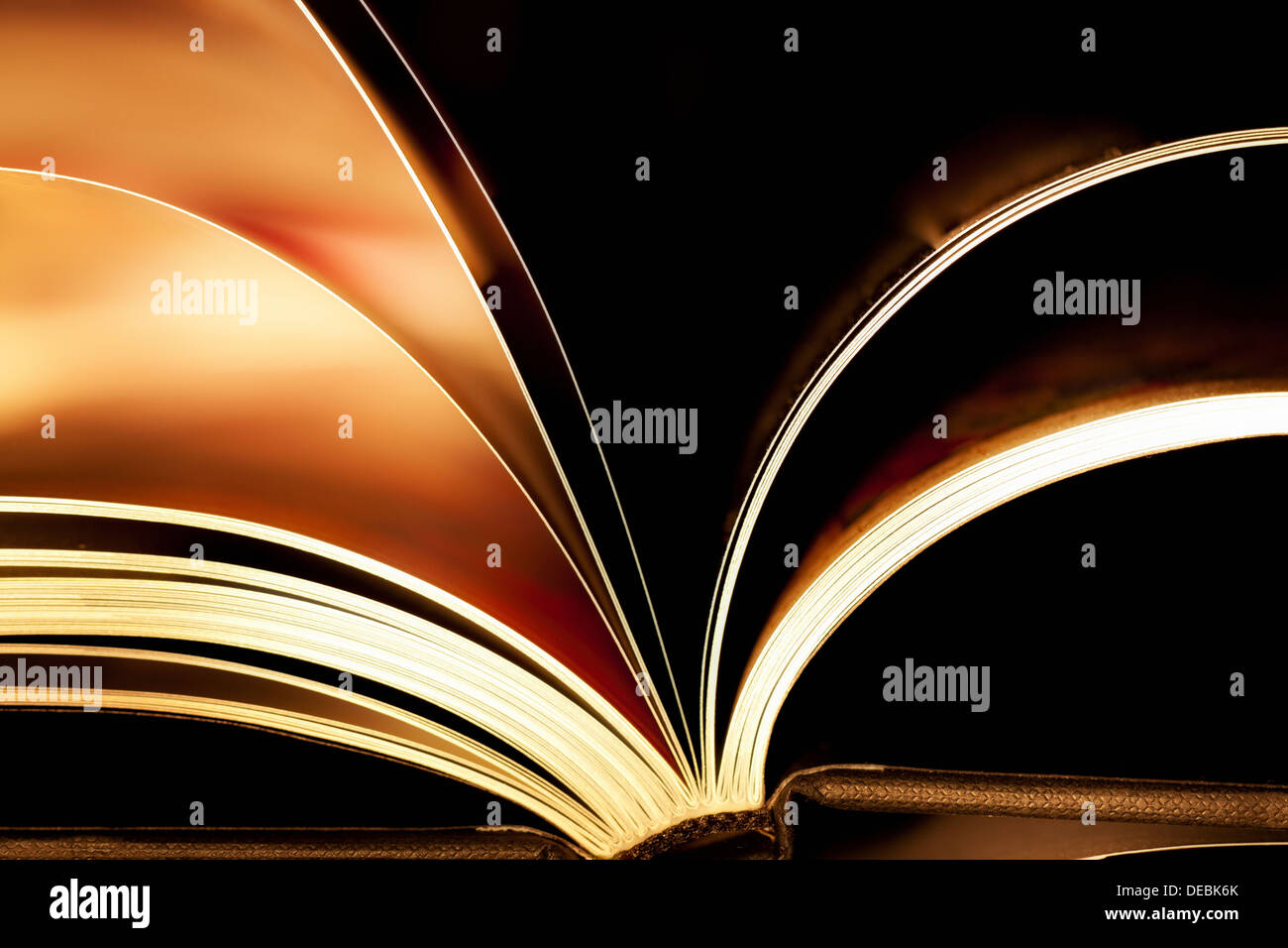Lettura di un libro Foto Stock