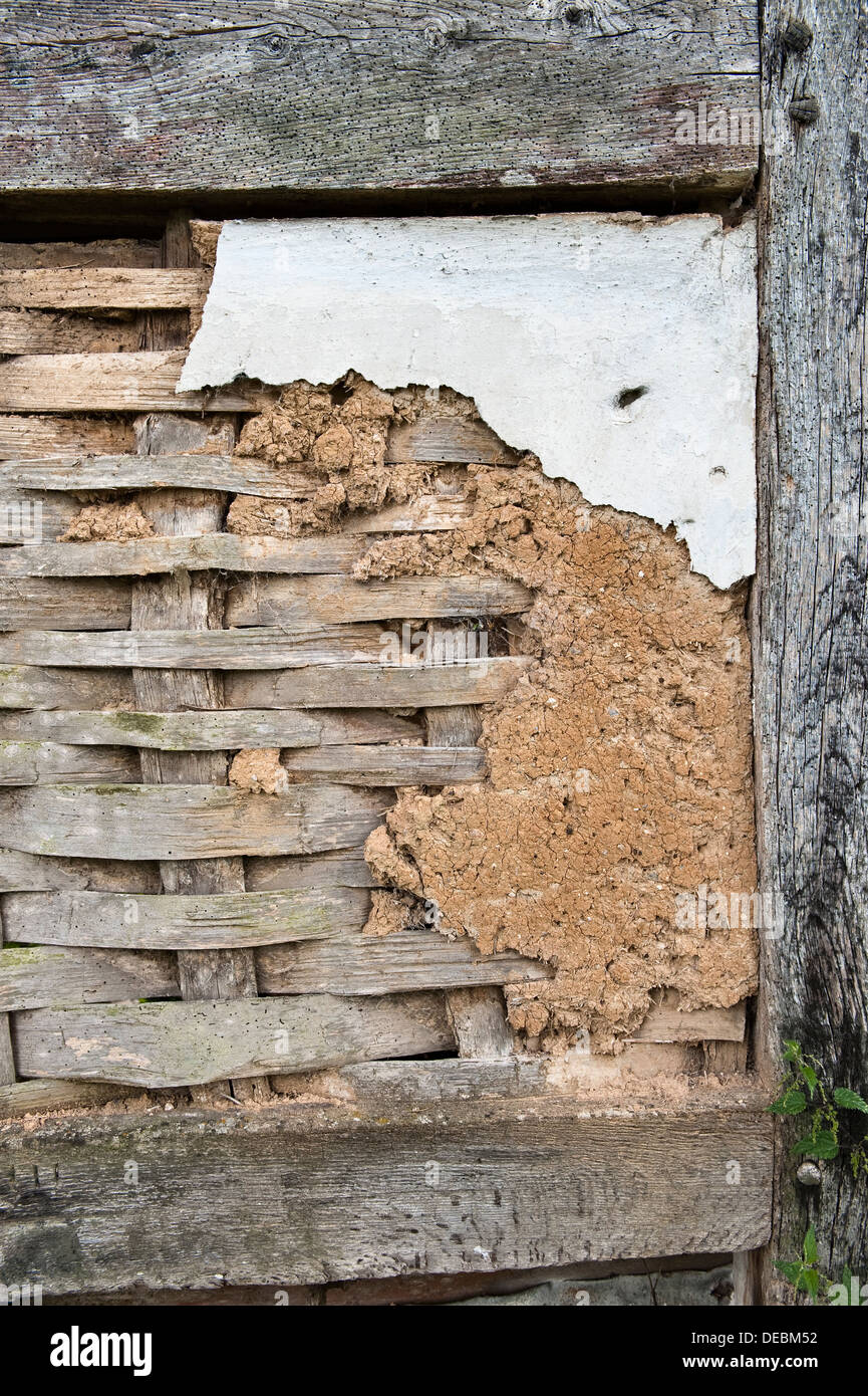Originale cinquecentesco sonaglino e daub (gesso di crine) su una vecchia casa con struttura in legno, Herefordshire, Regno Unito. Il picchiettio è costituito da listelli di quercia spaccati Foto Stock