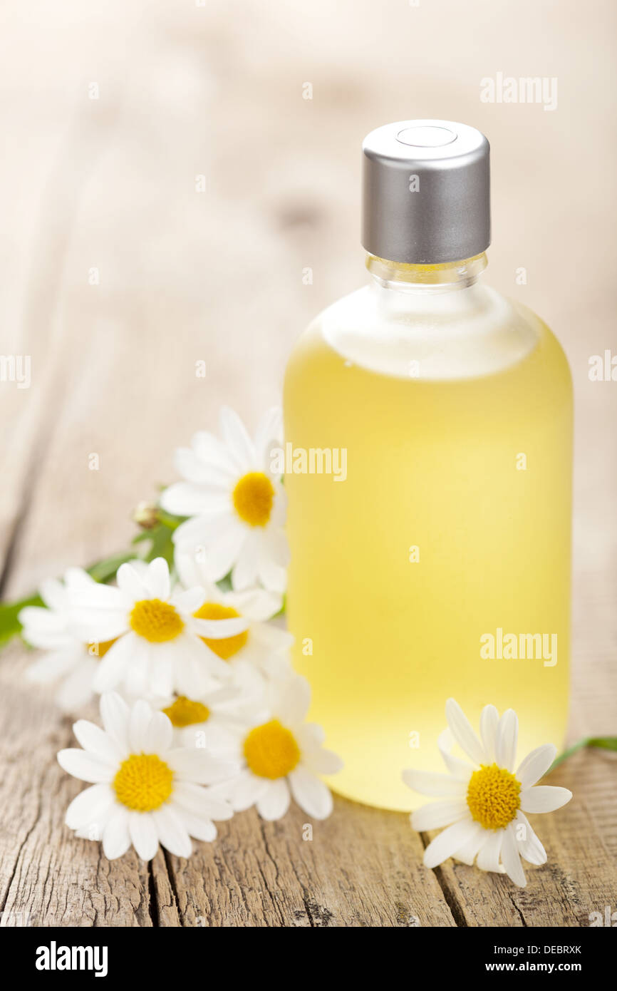 Olio essenziale e i fiori di camomilla Foto Stock