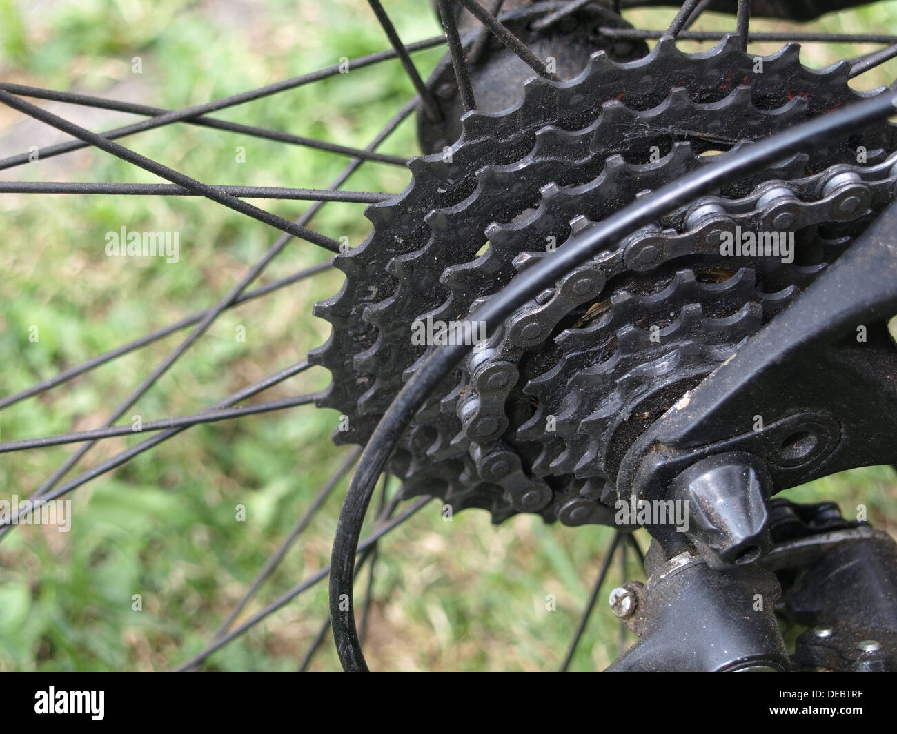 Pignone, mozzo e cerchio da una MTB / Zahnkranz, Nabe und Felge von einem MTB Foto Stock