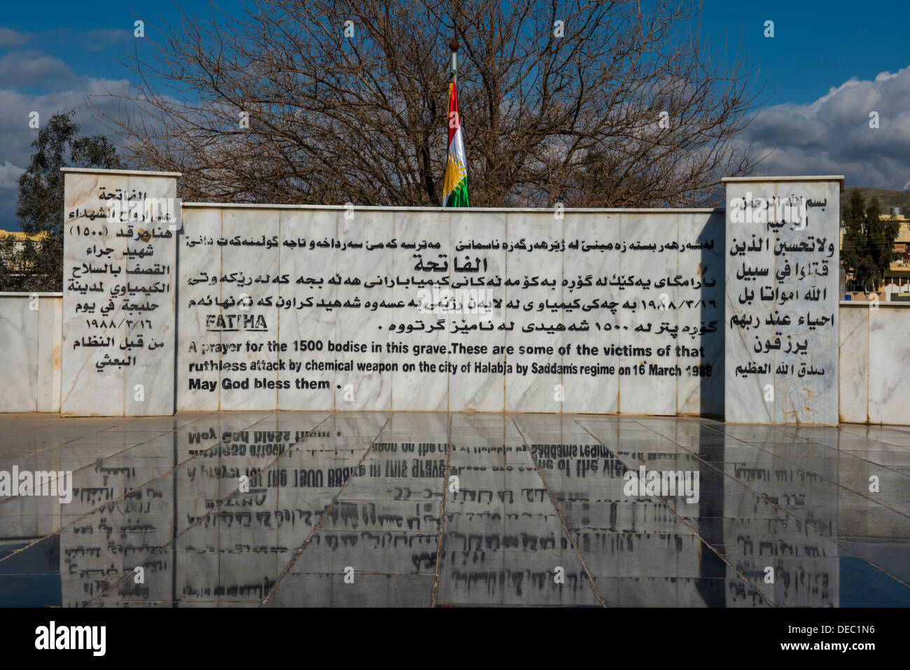 Tomba di massa su Halabja cimitero, Halabja, Kurdistan iracheno, Iraq Foto Stock