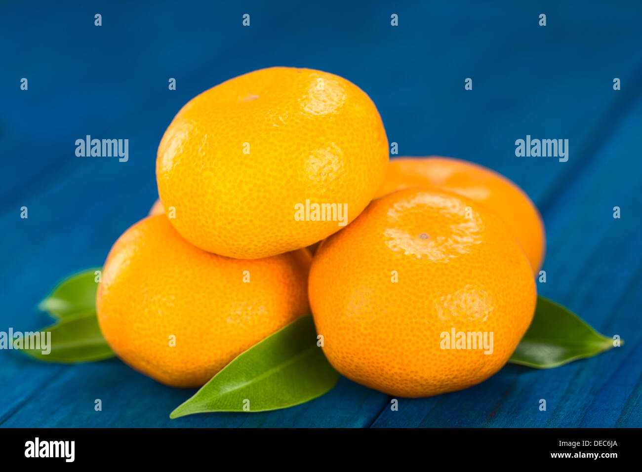 Pila di mandarini con foglie in legno blu (messa a fuoco selettiva, messa a fuoco sulla parte anteriore del mandarino sulla parte superiore e sul lato destro) Foto Stock