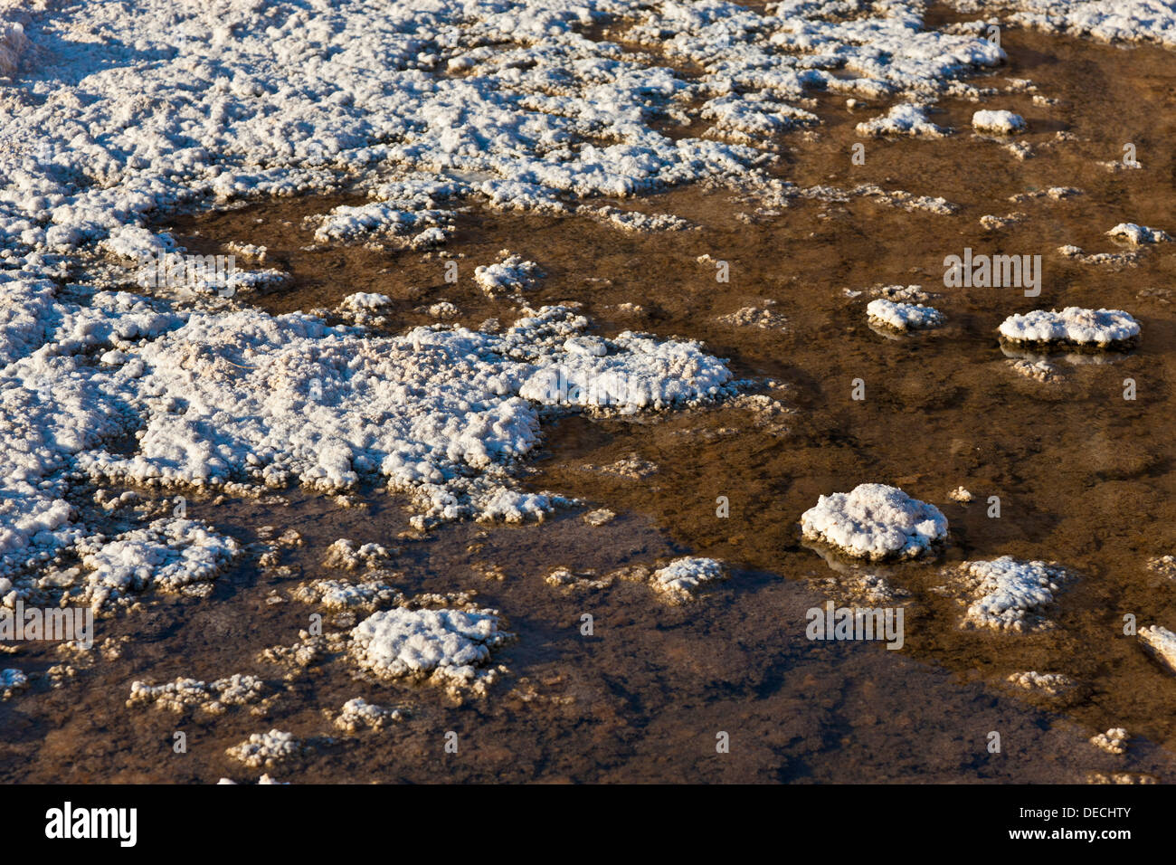 Sali al bacino Badwater, 282 piedi/855 metri sotto il livello del mare, Death Valley, California, Stati Uniti d'America. JMH5401 Foto Stock
