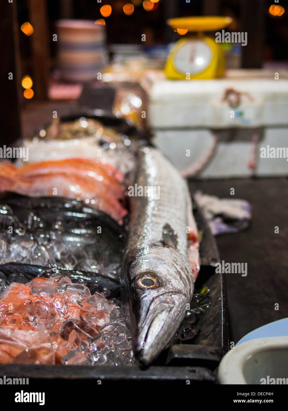 Barracuda fresco in un mercato del pesce con una scala di colore giallo in background. Foto Stock