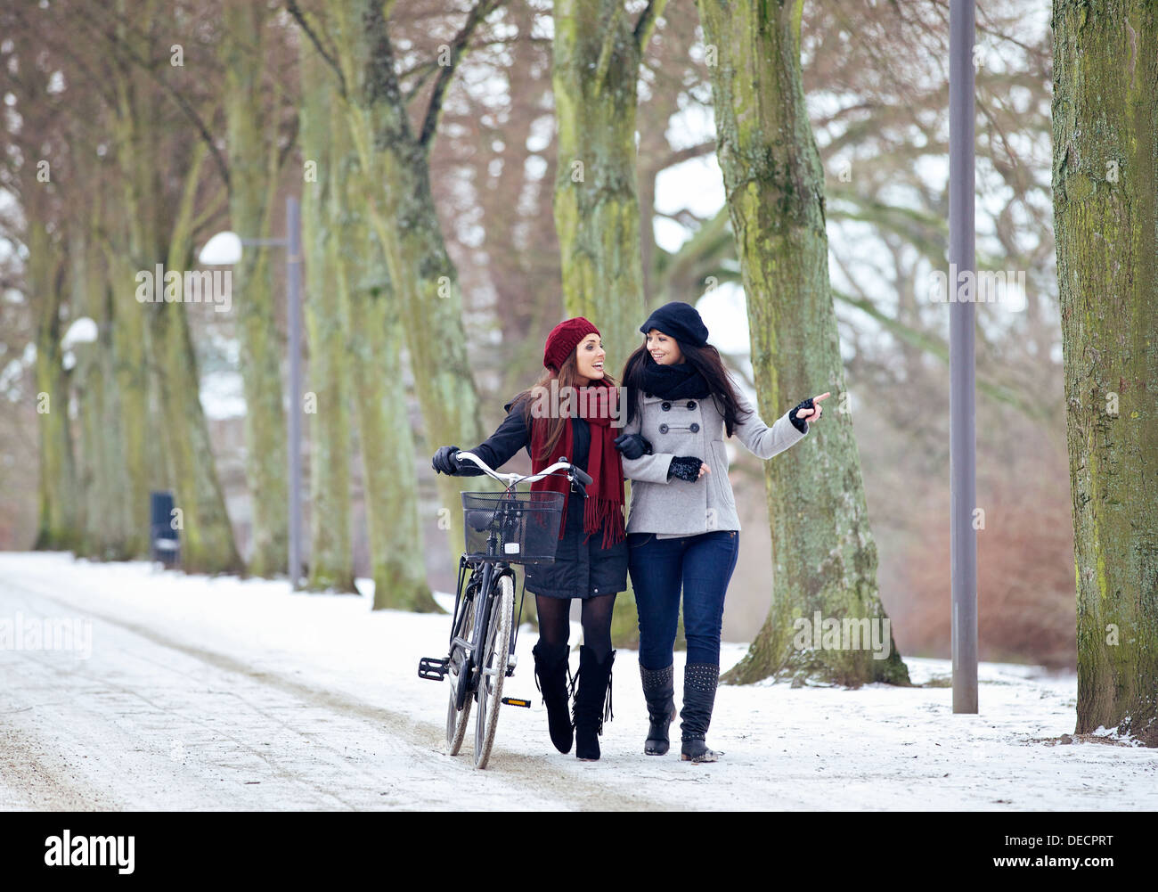 Due amici all'aperto godendo il loro tempo di incollaggio in un parco invernale Foto Stock