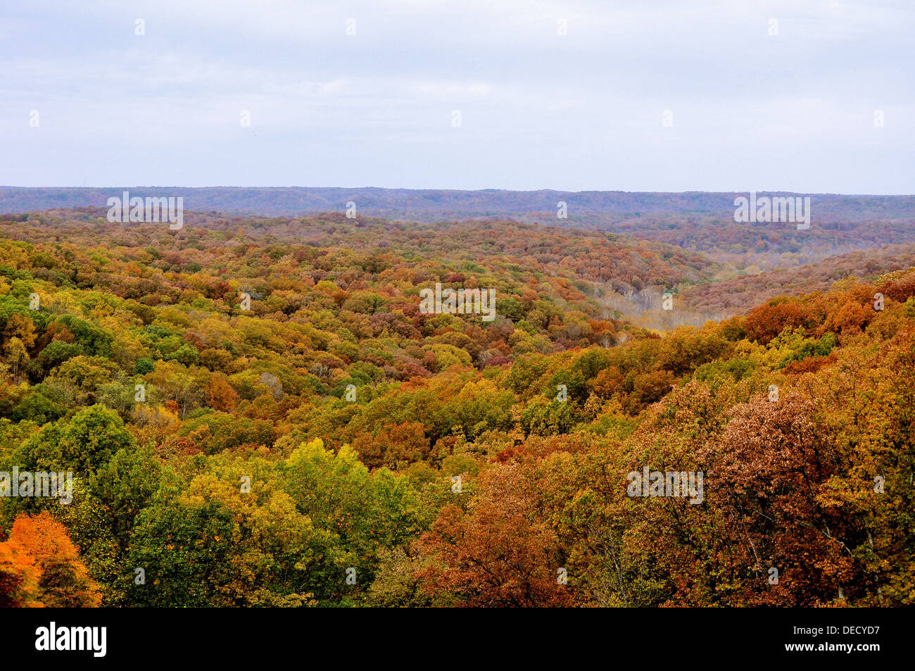 Brown County State Park Foto Stock