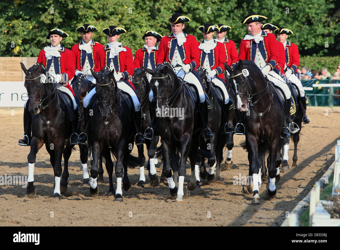 Moritzburg, Germania, dressage quadriglia all annuale parata stallone Foto Stock