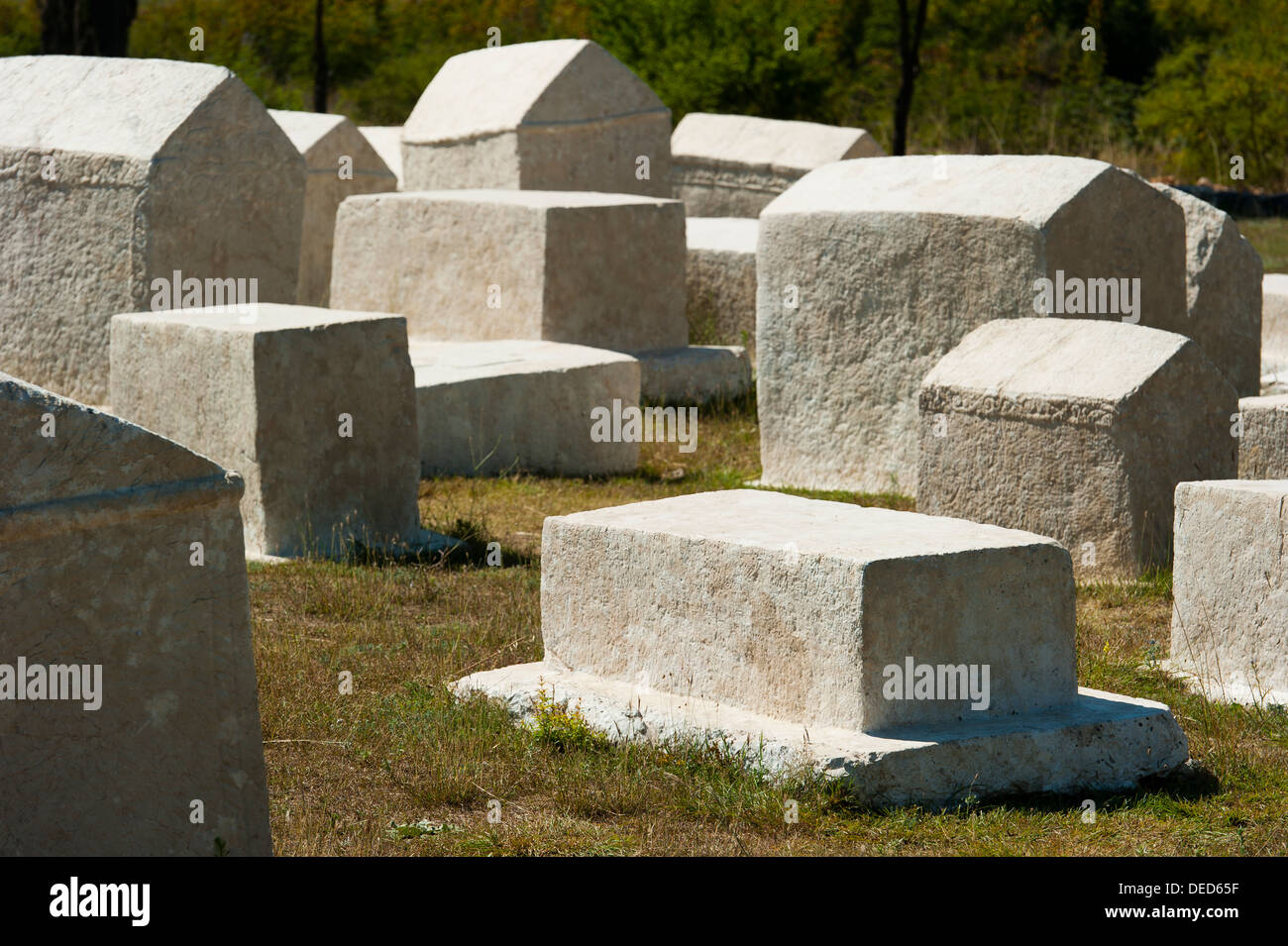 'Stecak' necropoli di Radimlja, situato nei pressi di Stolac, Bosnia e Erzegovina, l'Europa. Foto Stock