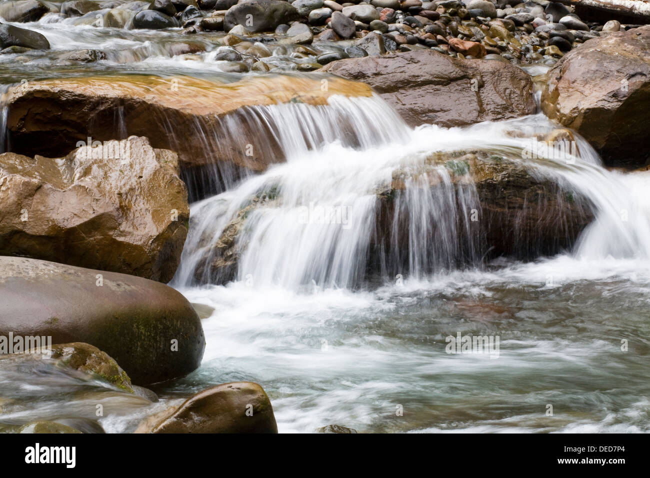 Una piccola cascata sul fiume Breitenbush in Oregon Cascade Mountains Foto Stock