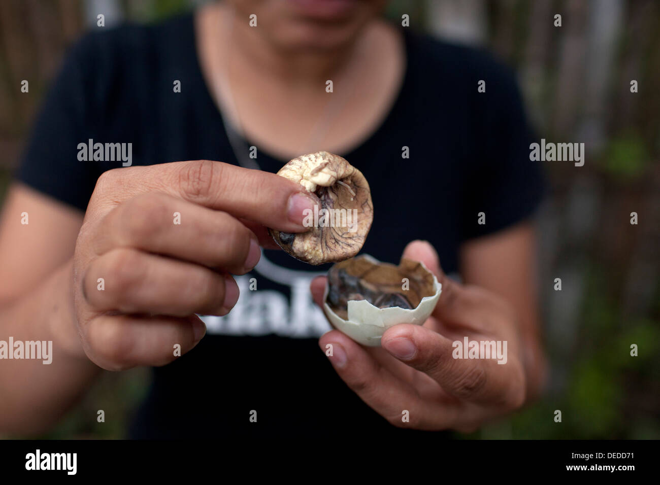 Un Filipina apre un balut, o fecondate Duck egg, prima di mangiare la singolare Pinoy snack in Oriental Mindoro, Filippine. Foto Stock