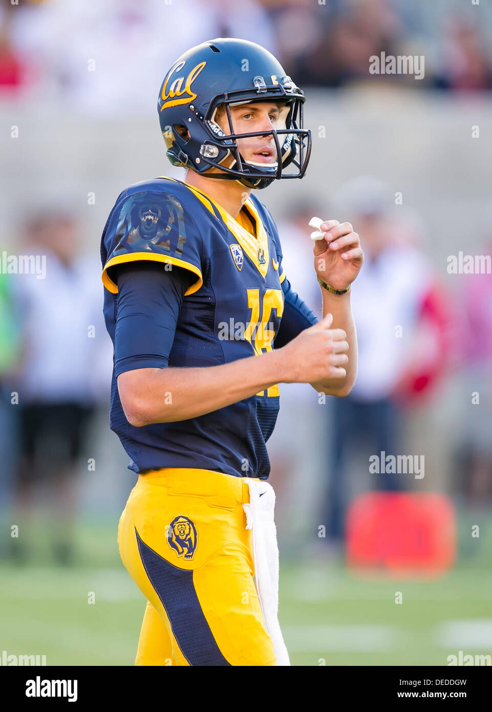 14 settembre 2013: California Golden Bears quarterback Jared Goff (16) in azione durante il NCAA Football gioco tra la Ohio State Buckeyes e California Golden Bears presso il Memorial Stadium di Berkeley CA. Ohio State sconfitto Cal 52-34. Foto Stock