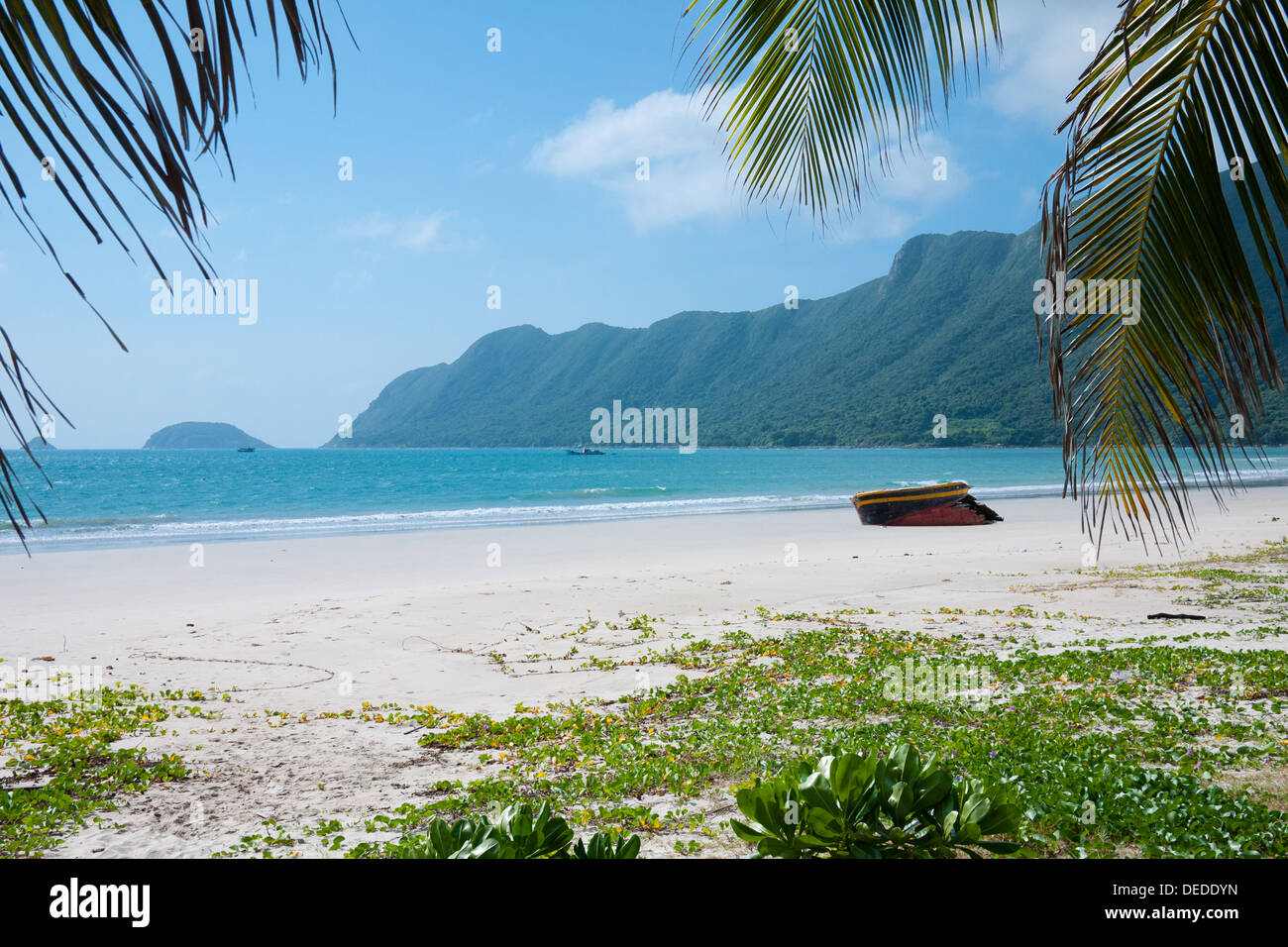 Una vista incredibile di un Hai sulla spiaggia Con Son Isola, uno dei Con Dao le isole al largo della costa meridionale della Vietnam. Foto Stock