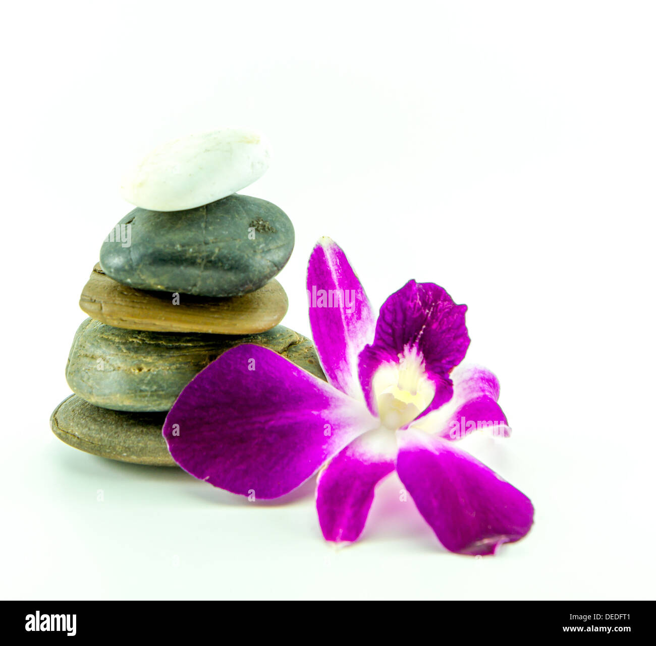 Pietre Zen e vaniglia su un fondo bianco Foto Stock