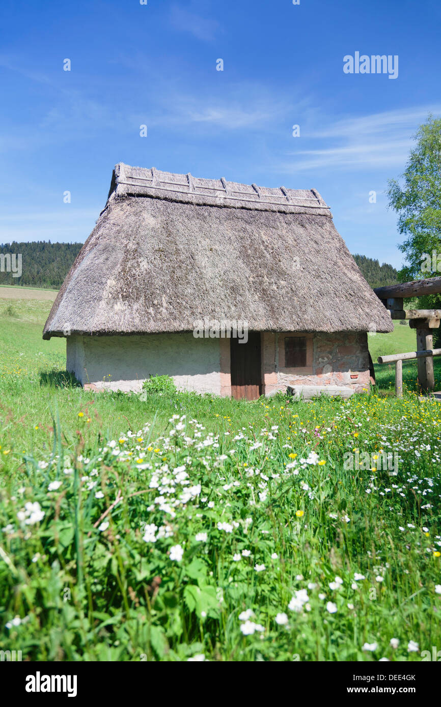 Mooswald mill, Lauterbach, Foresta Nera, Baden Wurttemberg, Germania, Europa Foto Stock