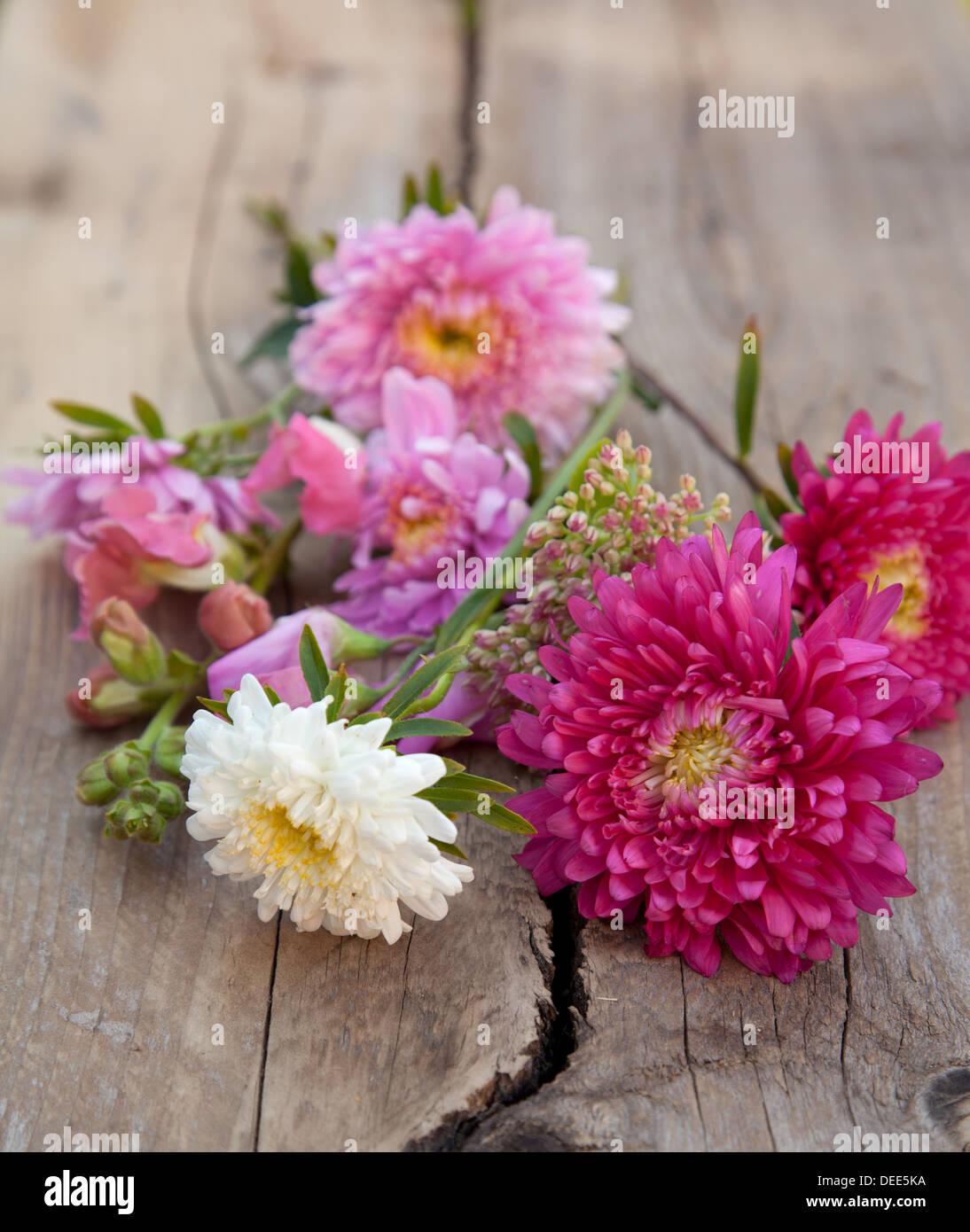Autunno - stagionale still-life impostato su ruvida la superficie di legno Foto Stock