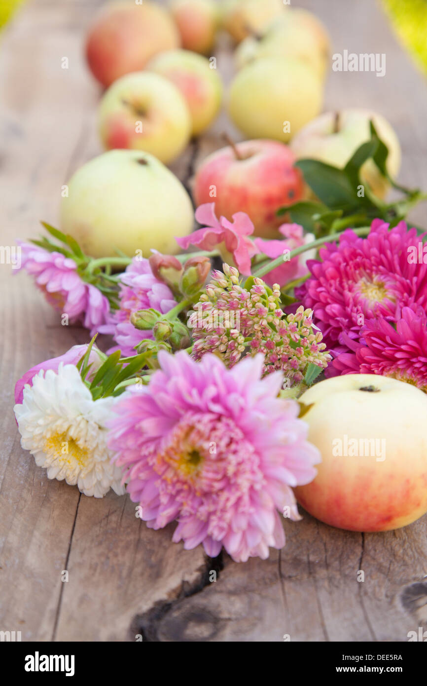 Autunno - stagionale still-life impostato su ruvida la superficie di legno Foto Stock