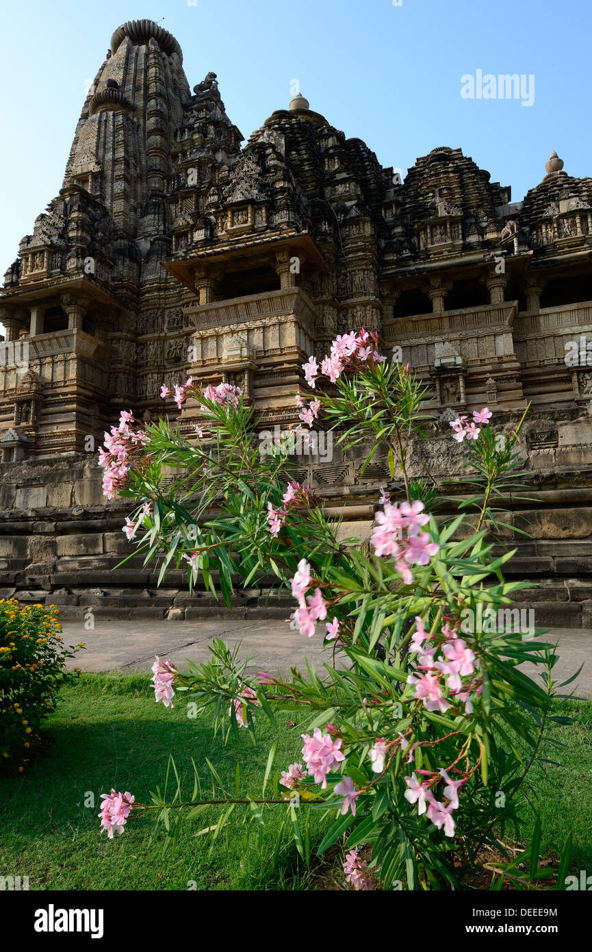 Gruppo occidentale di monumenti, Khajuraho, Sito Patrimonio Mondiale dell'UNESCO, Madhya Pradesh, India, Asia Foto Stock