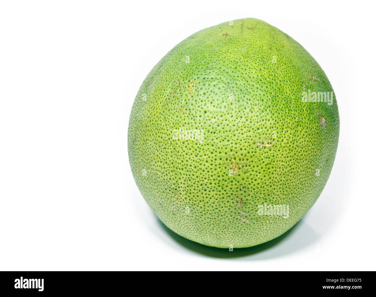 Pompelmo nemico di cibo vegetariano e buon gusto Foto Stock Pompelmo nemico di cibo vegetariano e buon gusto Foto Stock