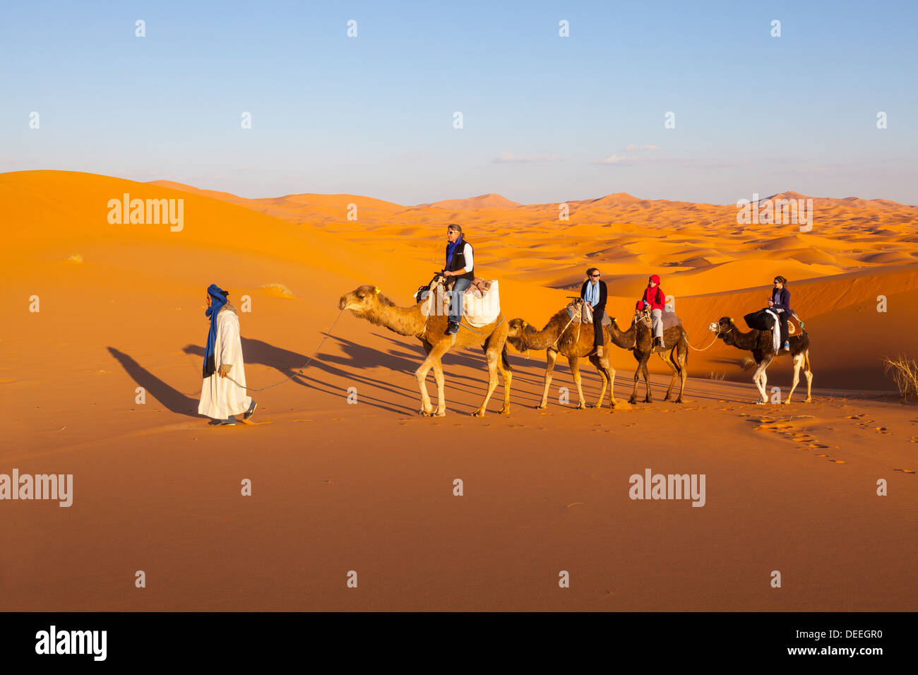 I turisti a dorso di cammello safari nel deserto del Sahara, Merzouga, Marocco, Africa Settentrionale, Africa Foto Stock