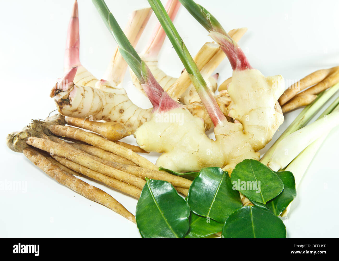 Il condimento usato per rendere la zuppa tailandese Foto Stock