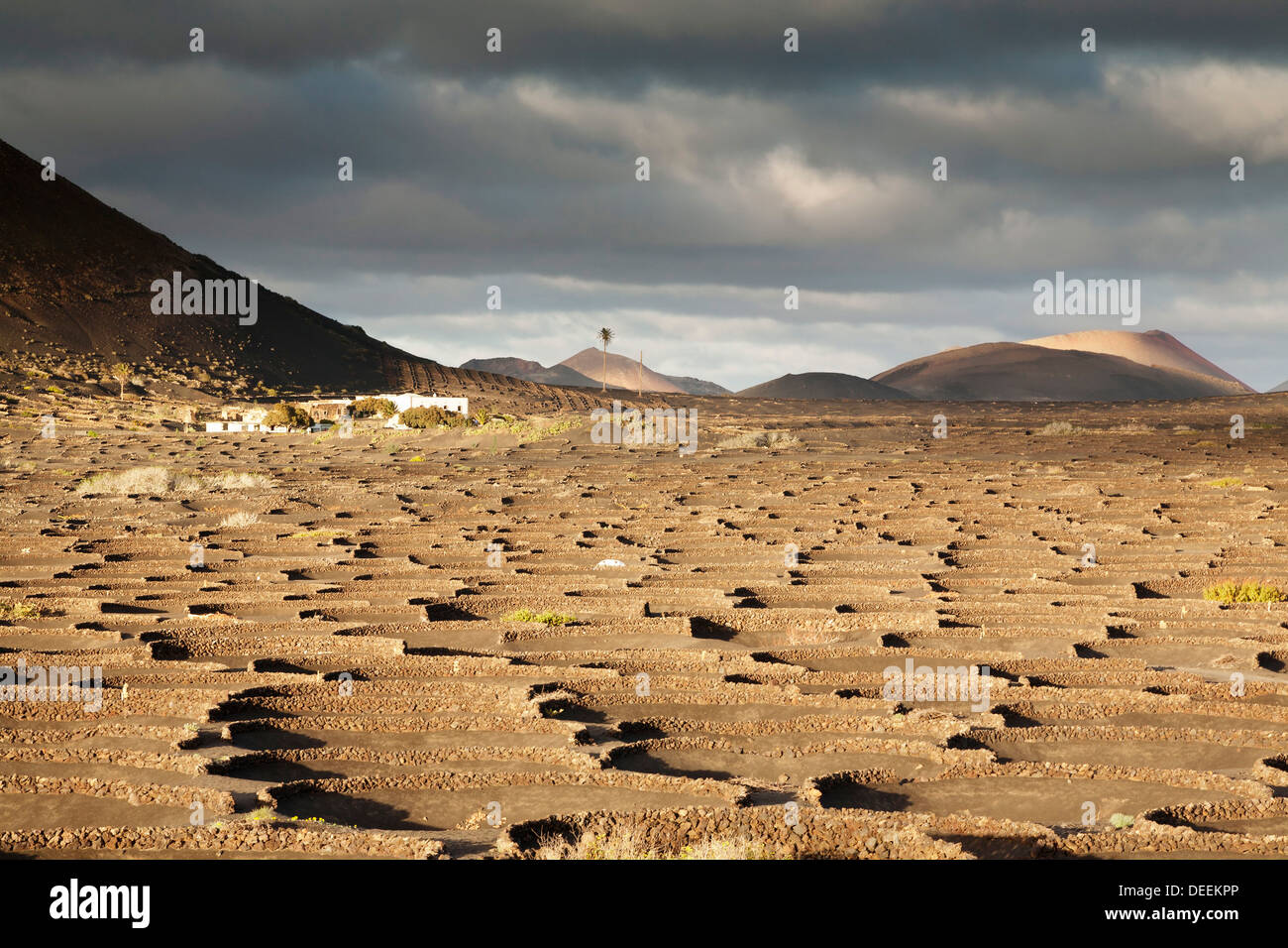 La Geria, Lanzarote, Isole Canarie, Spagna, Atlantico, Europa Foto Stock